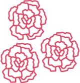 Цветочная роскошь — иллюстрация пиона